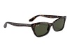 Ray-Ban RB2299 Lady Burbank Tortoise Havana G-15 Polarized Lens Ray-Ban RB2299 902/58 Lady Burbank Havana Kedi Gözü Polarize Gözlük
