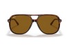 Ray-Ban RB2198 Bill Havana Tortoise Brown Lens Sunglasses Ray-Ban RB2198 954/33 Bill Havana Çift Köprülü Asetat Gözlük