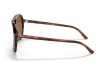 Ray-Ban RB2198 Bill Havana Tortoise Brown Lens Sunglasses Ray-Ban RB2198 954/33 Bill Havana Çift Köprülü Asetat Gözlük