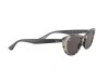 Ray-Ban RB4314N Nina Milky Havana Black Grey Lens Sunglasses Ray-Ban RB4314N 1251/39 Nina Siyah Saplı Krem Leopar Kedi Gözü Gözlük
