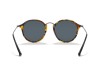 Ray-Ban RB2447 1158 Round Fleck Havana Siyah Asetat Yuvarlak Güneş Gözlüğü