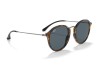 Ray-Ban RB2447 1158 Round Fleck Havana Siyah Asetat Yuvarlak Güneş Gözlüğü