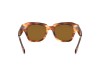 Ray-Ban RB2186 State Street Dark Havana Tortoise Frame Brown Lens Ray-Ban RB2186 954/33 State Street Koyu Havana Leopar Asetat Güneş Gözlüğü