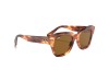 Ray-Ban RB2186 State Street Dark Havana Tortoise Frame Brown Lens Ray-Ban RB2186 954/33 State Street Koyu Havana Leopar Asetat Güneş Gözlüğü